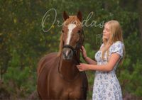 paarden shoot 2