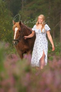 paarden shoot 1