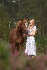 paarden shoot 3